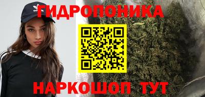 jwh Камышлов